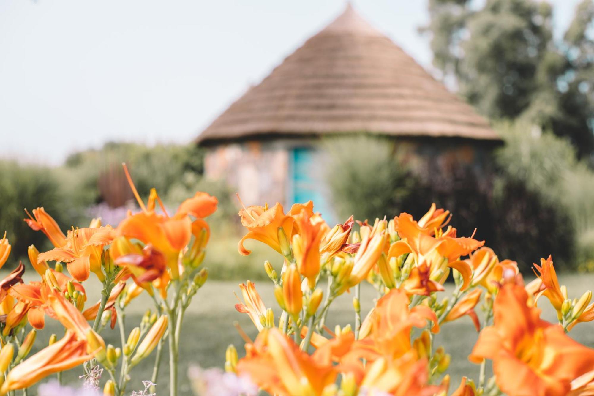 Is Cheas Wine Farm Boutique Hotel San Vero Milis Zimmer foto